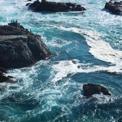California coastal waters with birds on rocks